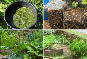 10 Clever Ways to Upcycle Your Spring Cleanup Garden Waste! 2