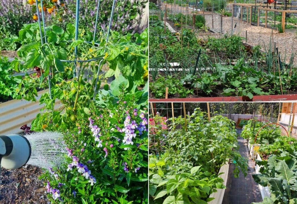 25 Common Vegetable Gardening Mistakes You Didn't Know You Were Making (And How to Fix 'Em)