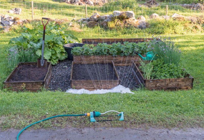 25 Common Vegetable Gardening Mistakes You Didn't Know You Were Making (And How to Fix 'Em) 2