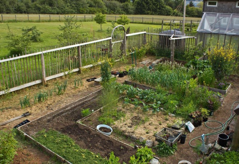 25 Common Vegetable Gardening Mistakes You Didn't Know You Were Making (And How to Fix 'Em) 5