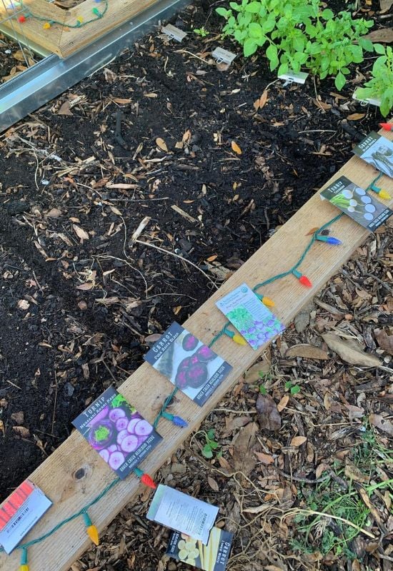 Why I'm Planting NO VEGGIES In May Right Now. Neither Should You! 4