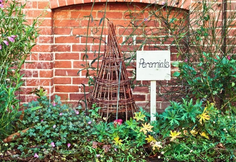 10 Must-Do End-of-Spring Tasks Every Perennial Gardener Should Tackle 9 Fill in the Gaps between Your Perennials