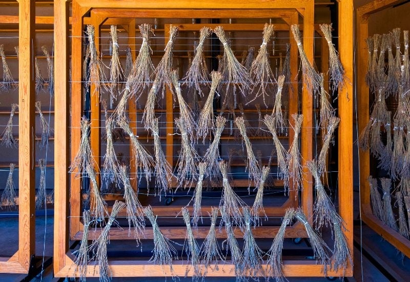 Drying Lavender Spikes – The Traditional Way