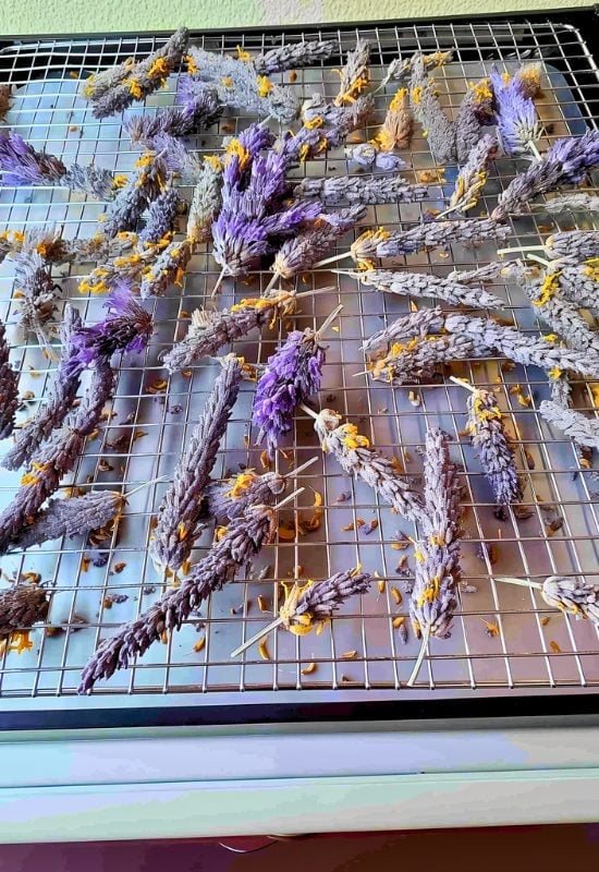How to Dry Lavender Leaves Using a Food Dehydrator