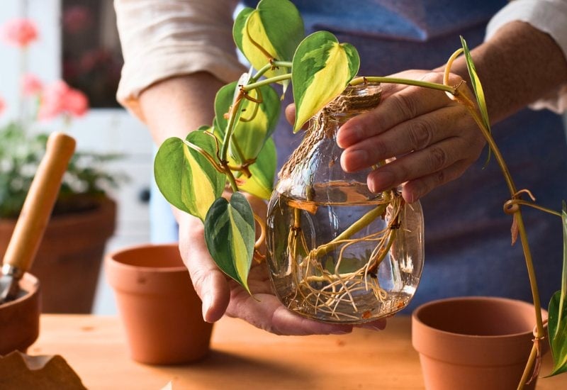 Recycle, Recycle, Recycle!