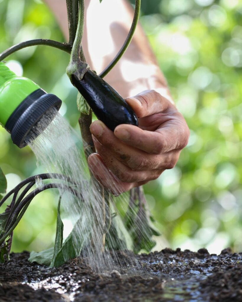 How to Cool Garden Soil During a Heatwave: 6 Simple Secrets to Maximize Harvests & Reduce Plant Damage 6