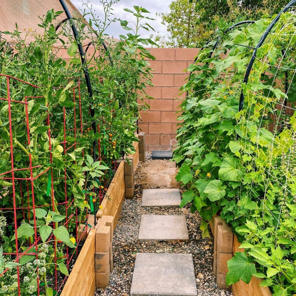 How to Cool Garden Soil During a Heatwave: 6 Simple Secrets to Maximize Harvests & Reduce Plant Damage 8