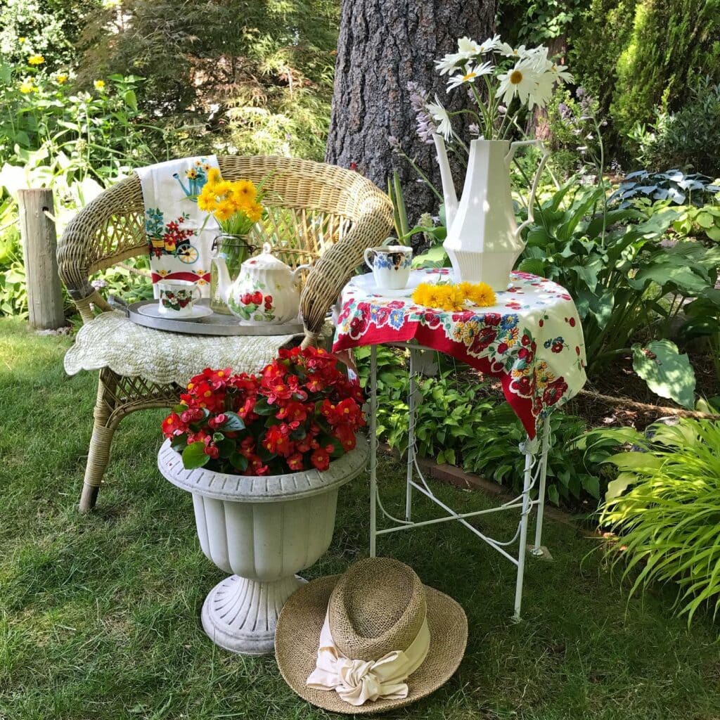 8 Secrets To Keep Begonias Blooming Big & Strong, All Summer Long! 5