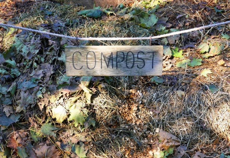 Compost for Fall Fertilization