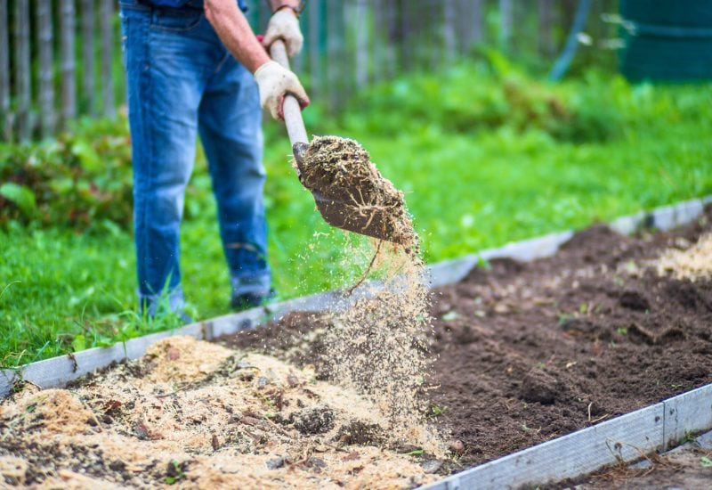 Why Fall Is the Best Time to Fertilize Your Garden (& What to Use) 1