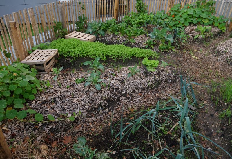 Fall Fertilization Benefit 2 – It Keeps the Soil Warmer in Winter