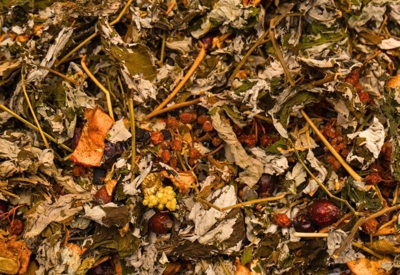 Leaf Mold to Fertilize in Fall