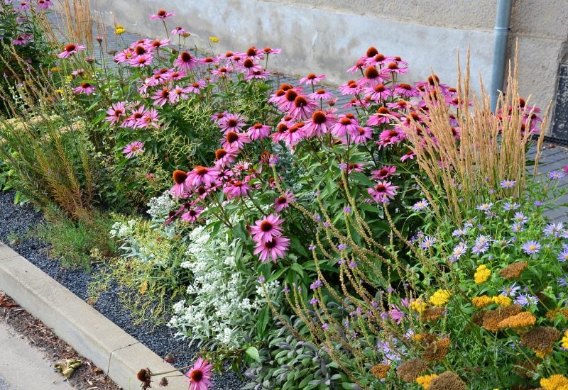 Plant Perennials in Fall – And Save Time in Spring