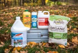 Why Fall Is the Best Time to Fertilize Your Garden (& What to Use)