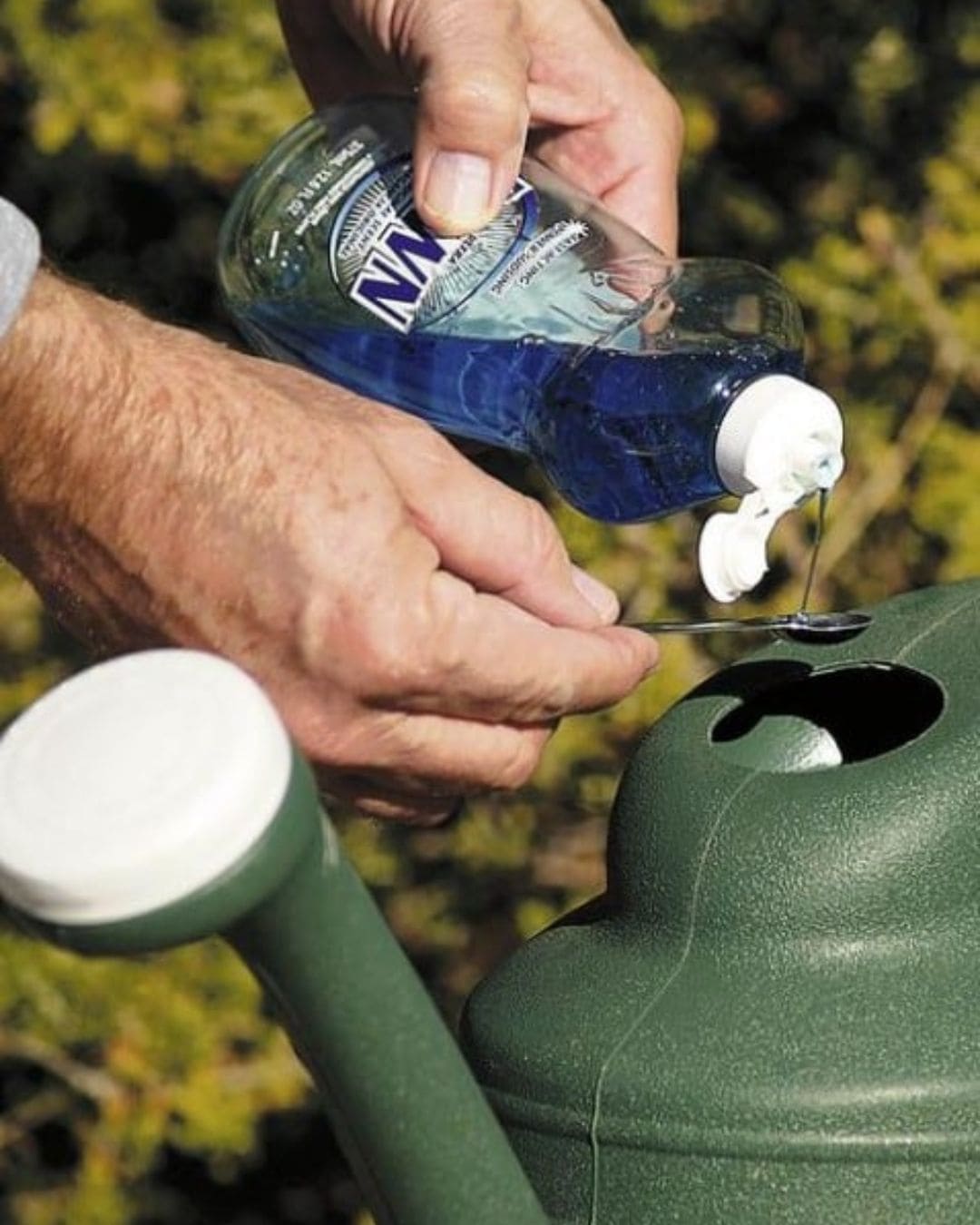 10 Hacks to Improve and Speed Up Seed Germination by 300%