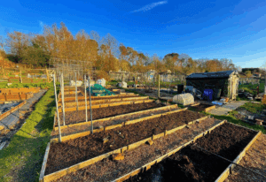 Early Spring Gardening Mistakes You MUST Avoid