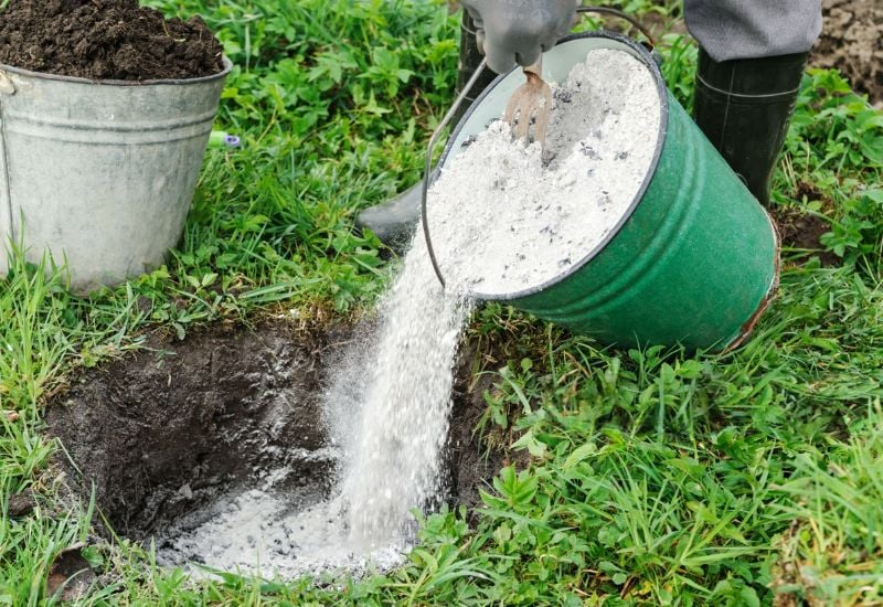Amend Heavy Clay Soil with Wood Ash