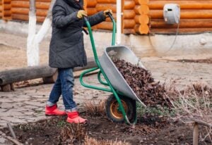 Don’t Waste Fallen Leaves – Here’s What You Can Do with Them!