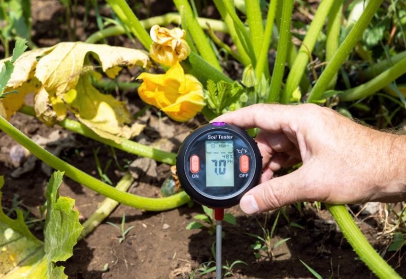 Use It to Correct Soil Acidity