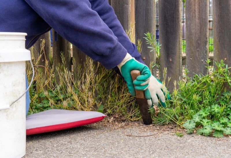 Use It to Suppress Weeds