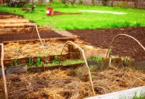 How To Start A No-Dig Garden And 4 Methods To Get You Going