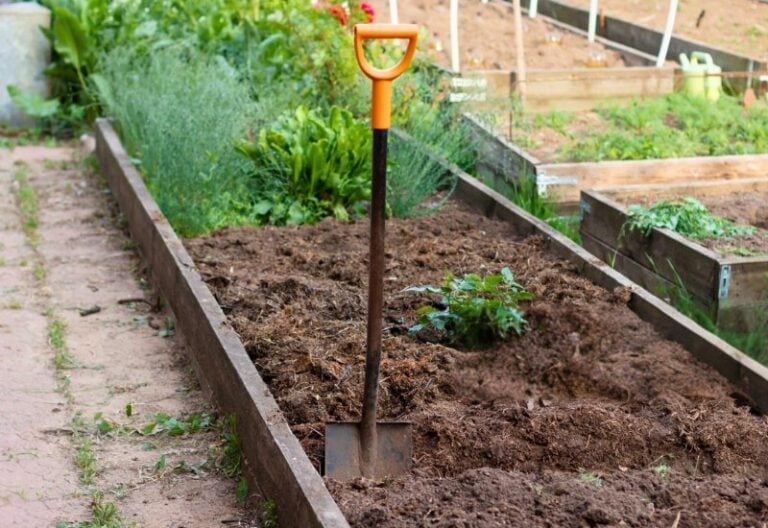 how-to-start-a-no-dig-garden-and-4-methods-to-get-you-going