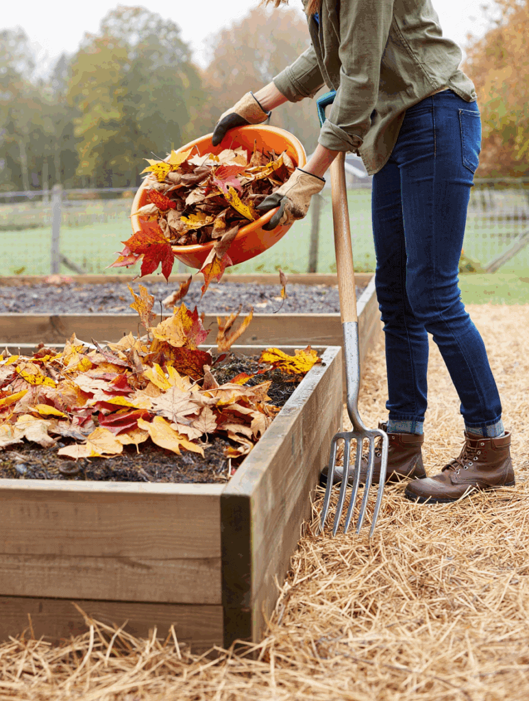 Letting the Garden Rest This Fall? Here’s How to Build Better Soil for Spring 5