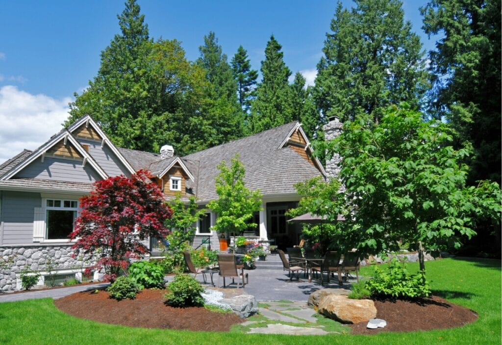 12 Trees with Noninvasive Roots for a Picture Perfect Landscape