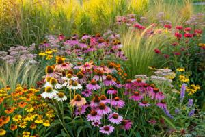 Fast-Growing Perennials