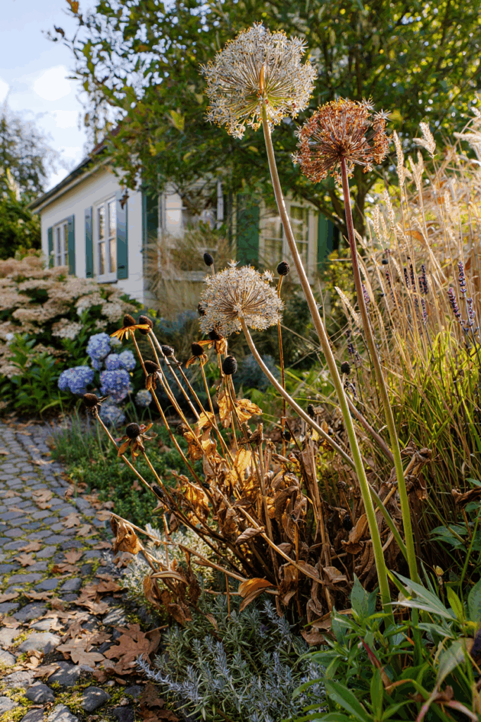 15 Flowers You Shouldn’t Deadhead—Here’s Why It’s Better to Let Them Go to Seed 12