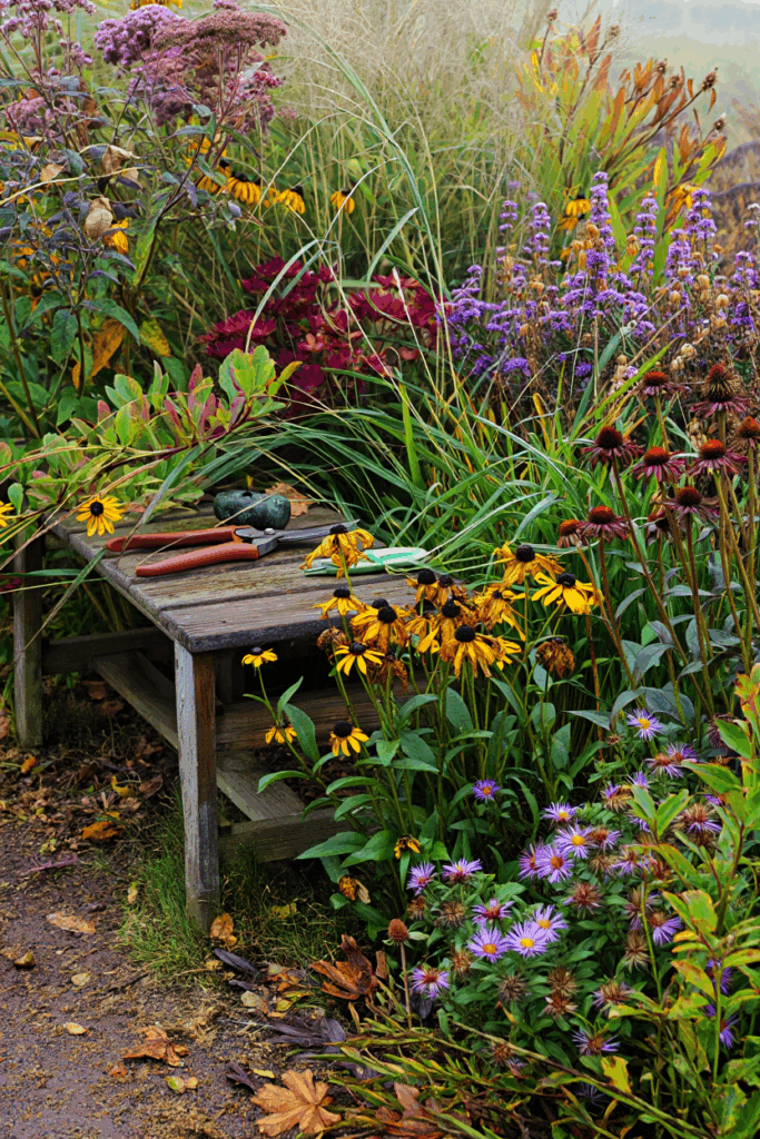 15 Flowers You Shouldn’t Deadhead—Here’s Why It’s Better to Let Them Go to Seed 2