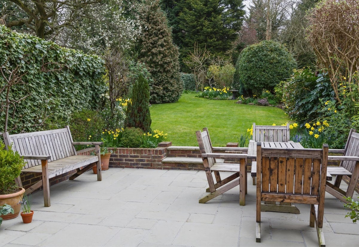 Brighten Up Dark Spaces with These 15 Stunning Evergreen Trees