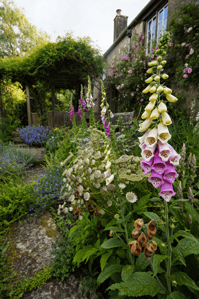 15 Flowers You Shouldn’t Deadhead—Here’s Why It’s Better to Let Them Go to Seed 6