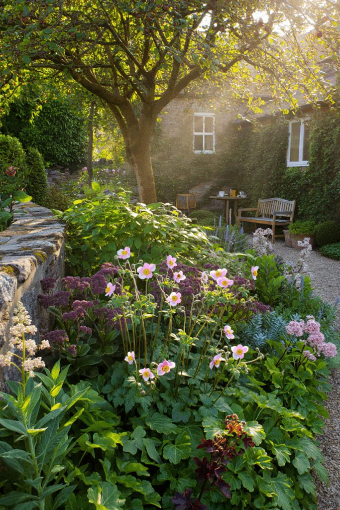 15 Perennials to Plant in September That Keep the Color Going Year on Year 4