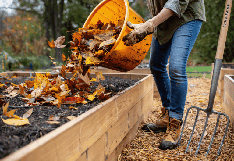 5 Things to Do This Fall to Get Your Garden Soil Ready for Spring