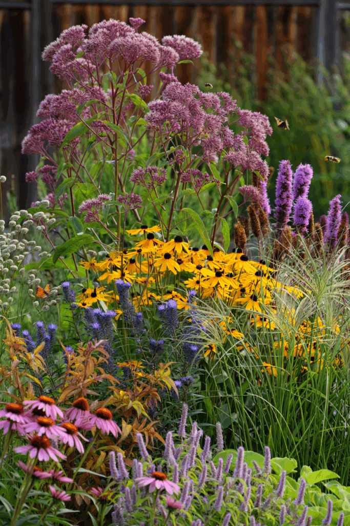 15 Fast-Growing Perennials That Fill Your Garden with Color in No Time 4