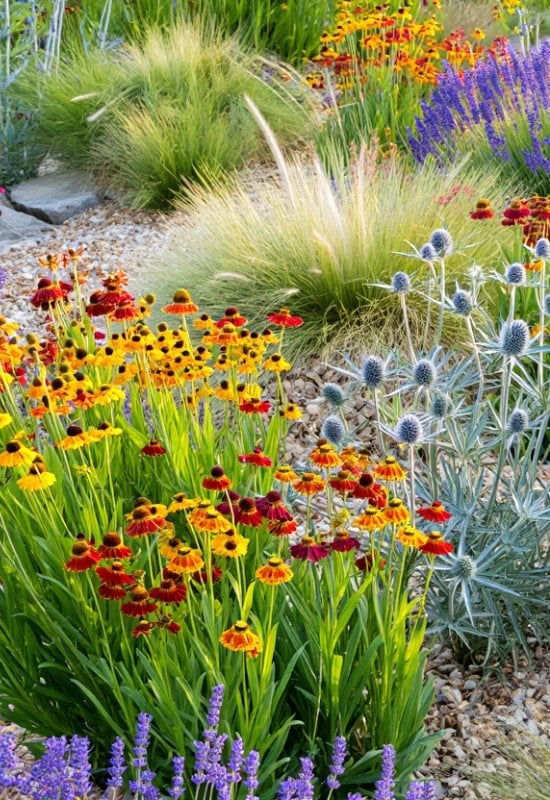 12 Great Combinations with Ornamental Grasses 10 The Mediterranean Option
