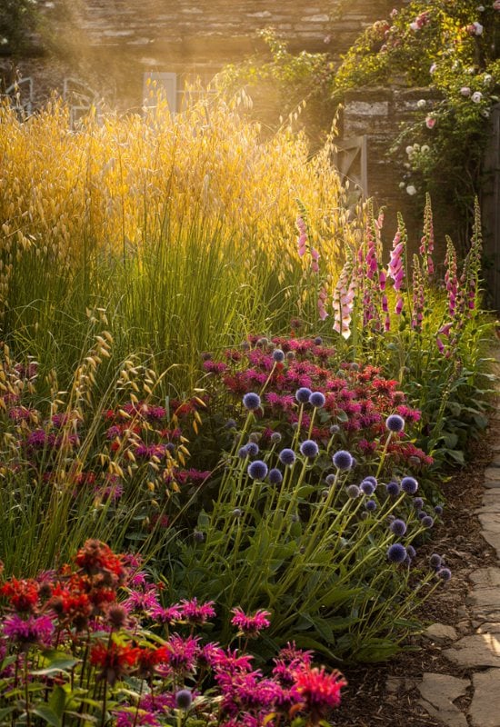 12 Great Combinations with Ornamental Grasses 9 A Colorful Cottage Garden Style Border