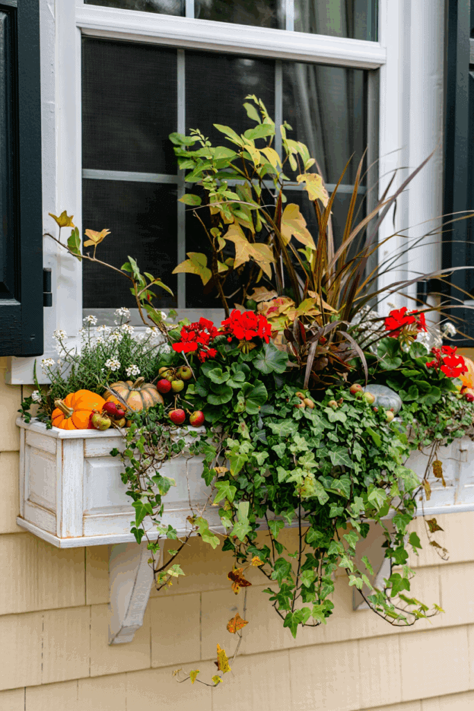 25 Creative Ways to Style Your Window Boxes for Fall and Celebrate the Season 2