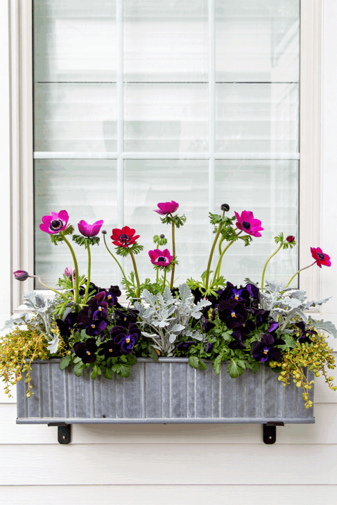 25 Creative Ways to Style Your Window Boxes for Fall and Celebrate the Season 24