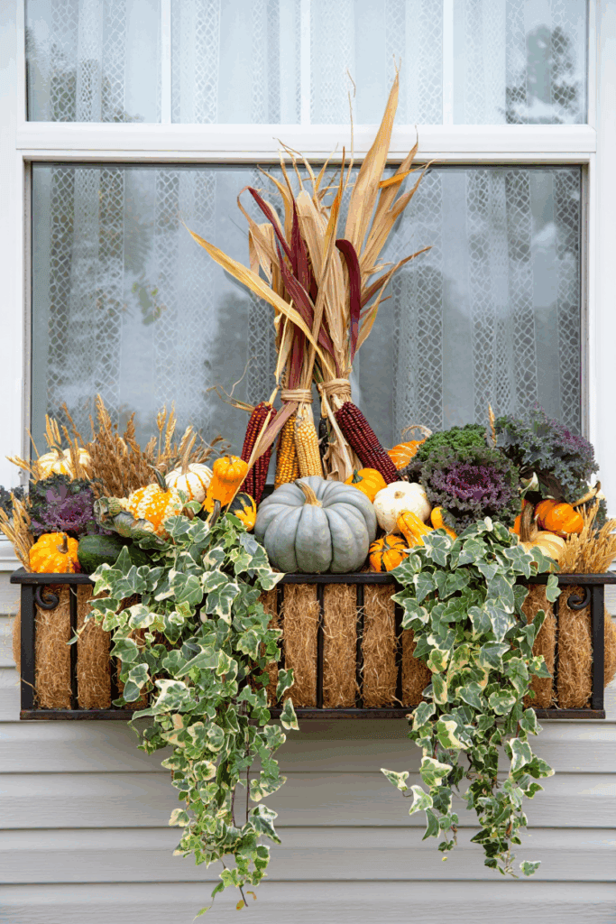 25 Creative Ways to Style Your Window Boxes for Fall and Celebrate the Season 21