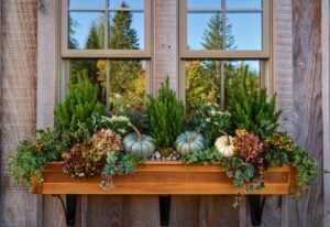 Creative Ways to Style Your Window Boxes (1)