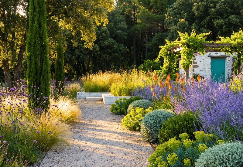 18 Drought-Tolerant Plants Perfect for Dry Spots in Your Garden 1