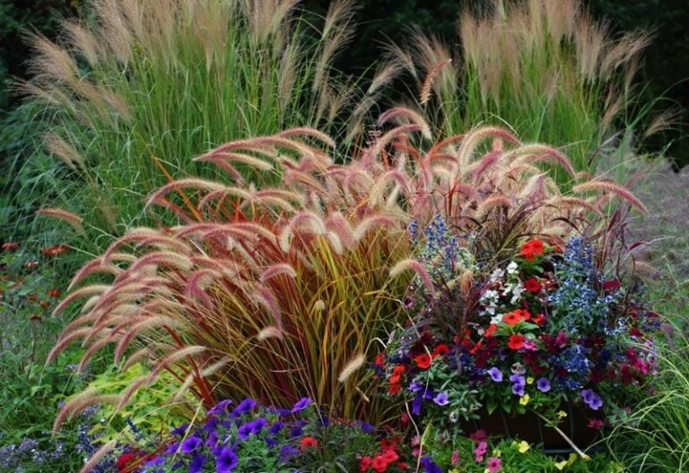 Great Combinations with Ornamental Grasses