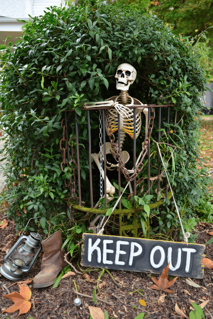 20 Hauntingly Creative Shrub Decorations for a Show-Stopping Halloween Yard 11