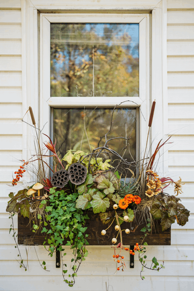 25 Creative Ways to Style Your Window Boxes for Fall and Celebrate the Season 3