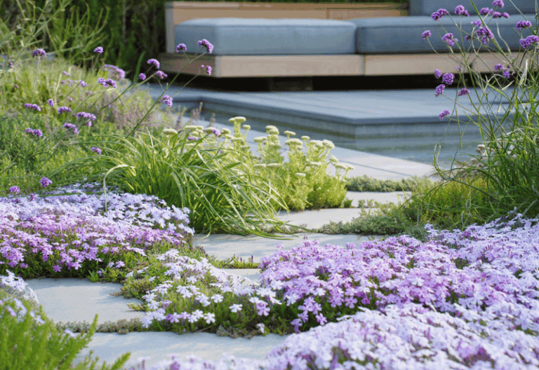 Beautiful Ground Covers That Outcompete Weeds