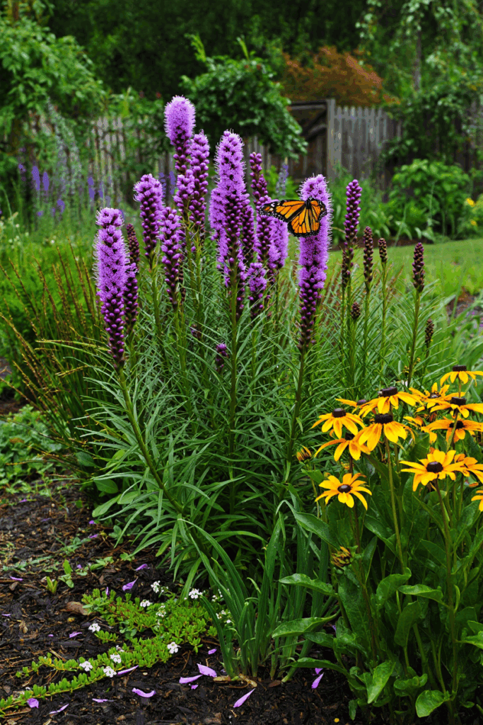17 Perennials You Should Divide and Replant in September for Bigger, Healthier Blooms Next Year 5