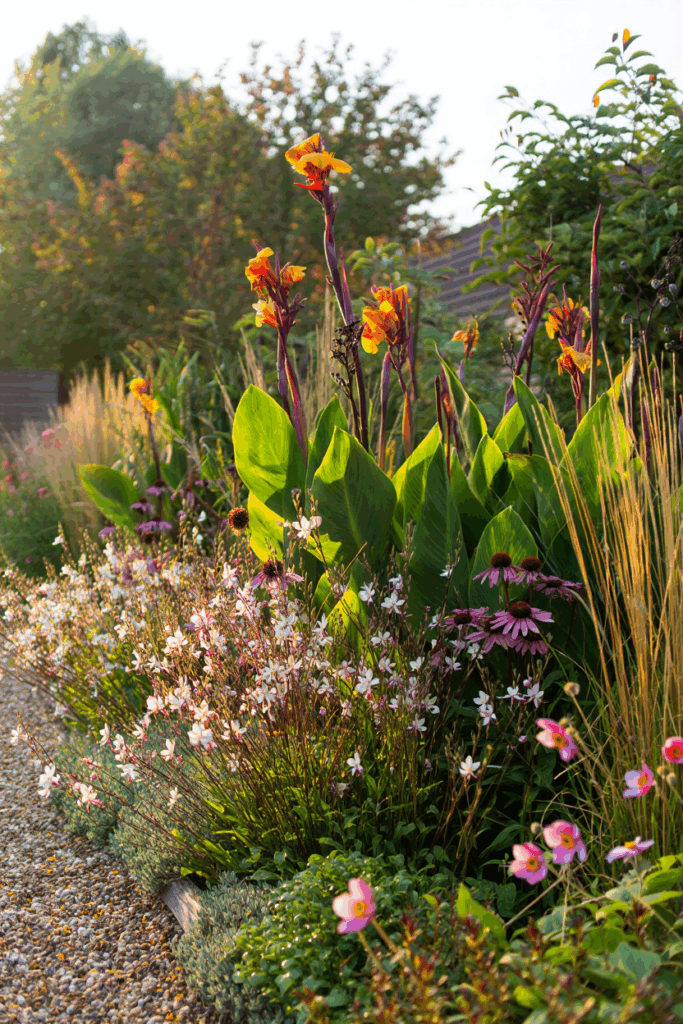 17 Perennials You Should Divide and Replant in September for Bigger, Healthier Blooms Next Year 18