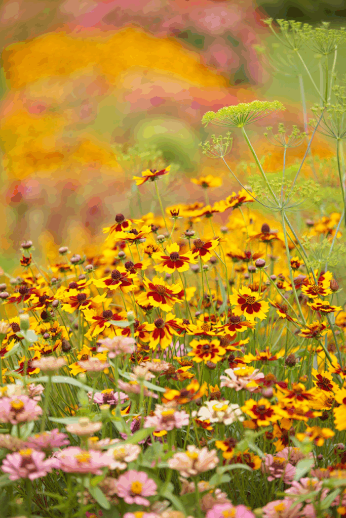 16 Easy Wildflowers to Direct Sow Outside in Fall for a Naturalized, Meadow-Like Spring Garden 8